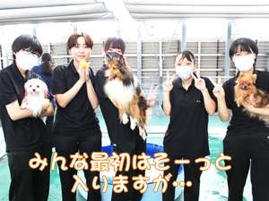 ドッグランでモデル犬とプール♪～２日目～